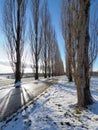 Countryside alley in light snow