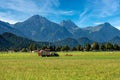 Countryside and Alps - Bavaria Schwangau Germany Royalty Free Stock Photo