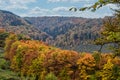 countryside in autumn with hills and a forest with yellow, golden and brown leaves Royalty Free Stock Photo