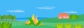 Countryside background vector panorama illustration graphic design. Royalty Free Stock Photo