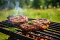 Countryside barbecue: delicious grilled steak with rosemary on a flaming BBQ grill Royalty Free Stock Photo