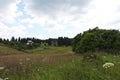 Countryside beautiful meadow in Bucovina