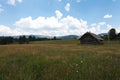 Countryside beautiful meadow in Bucovina