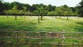 At the countryside in Belgium