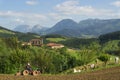 Countryside at biscay, spain Royalty Free Stock Photo