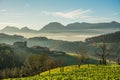 Countryside at biscay, spain Royalty Free Stock Photo