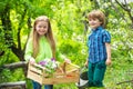 Countryside childhood. Happy kids work, plant and water in green spring garden. Eco garden workers. Cute boy and girl