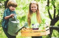 Countryside childhood. Smiling toddler boy and girl gardening and having fun in spring yard. Pretty cute kids working