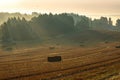 Countryside colorful foggy landscape at sunrise. Harvested agricultural wheat field with straw bales and foggy forest behind it Royalty Free Stock Photo