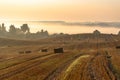 Countryside colorful foggy landscape at sunrise. Harvested agricultural wheat field with straw bales and foggy rural dale behind Royalty Free Stock Photo
