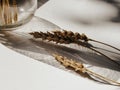 Countryside cottagecore still life shadow pattern and natural yellow spikelets of wheat with glass Royalty Free Stock Photo