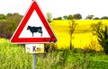 Countryside cow sign Royalty Free Stock Photo