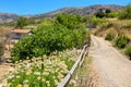 Countryside. Crete island, Greece Royalty Free Stock Photo