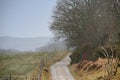 A countryside dirt road leading to agriculture fields or farm pasture in remote area during early morning with fog or Royalty Free Stock Photo