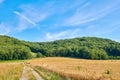 Countryside dirt road leading to green forest or woods and past agriculture fields or farm pasture. Landscape view of Royalty Free Stock Photo