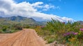 Countryside dirt road leading to scenic mountains with Perezs sea lavender flowers, lush green plants and bushes growing Royalty Free Stock Photo