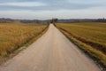 Countryside dirt road