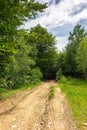 Countryside dirt road in to the forest Royalty Free Stock Photo