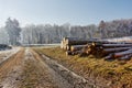 Countryside dirt road with woods fields and trees near village Royalty Free Stock Photo