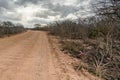 Countryside landscape at Cariri, Paraiba, Brazil