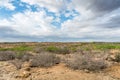 Countryside landscape at Cariri, Paraiba, Brazil