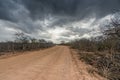 Countryside landscape at Cariri, Paraiba, Brazil