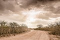 Countryside Dry Road landscape at Cariri Paraiba Brazil