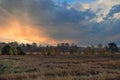 Countryside dutch meadow landscape with grass under scenic sunset sunrise sky. Panorama of dramatic landscape Royalty Free Stock Photo