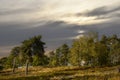 Countryside dutch meadow landscape with grass under scenic sunset sunrise sky. Panorama of dramatic landscape Royalty Free Stock Photo