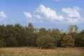 Countryside dutch meadow landscape with grass under scenic sunset sunrise sky. Panorama of dramatic landscape Royalty Free Stock Photo