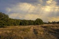 Countryside dutch meadow landscape with grass under scenic sunset sunrise sky. Panorama of dramatic landscape Royalty Free Stock Photo