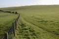 Countryside at Falmer. Sussex. England Royalty Free Stock Photo