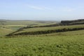 Countryside at Falmer. Sussex. England Royalty Free Stock Photo