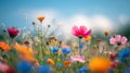 countryside field flowers