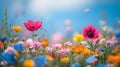 countryside field flowers