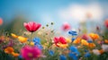 countryside field flowers