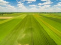 Countryside and field seen from the bird`s eye view. Crop fields stretching to the horizon. Royalty Free Stock Photo