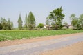 Countryside fields before farmhouse in sunny spring