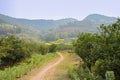 Countryside footpath in flowering mountain of sunny spring Royalty Free Stock Photo