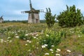 Countryside in Gotland. View with windmills and beautiful Swedish nature.