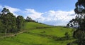 Countryside green field landscape panorama photo with pastures