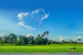 The countryside, green paddy rice field with beautiful sky cloud in upcountry Thailand Royalty Free Stock Photo