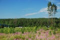 Countryside in Hankasalmi of Central Finland