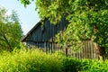 Countryside house garden backyard in summer with old buildings and decorations Royalty Free Stock Photo