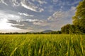 Countryside landscape