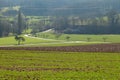 Countryside landscape