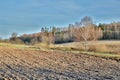 Countryside landscape of arable land in autumn with selective focus Royalty Free Stock Photo