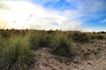 Countryside landscape with autochthon bushes and plants Royalty Free Stock Photo