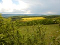 Countryside landscape with canola oil field Royalty Free Stock Photo