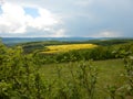 Countryside landscape with canola oil field Royalty Free Stock Photo